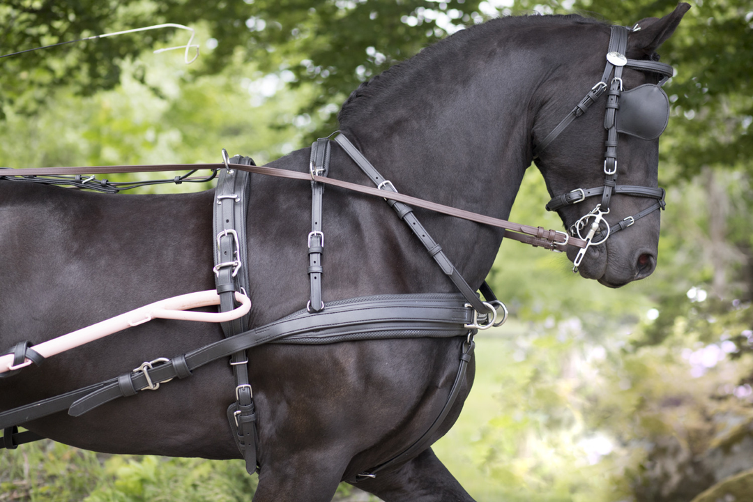 Geschirrhalter Set Royal - Ideal Equestrian